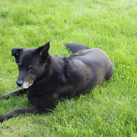 Moehneblick 公寓 莫内西