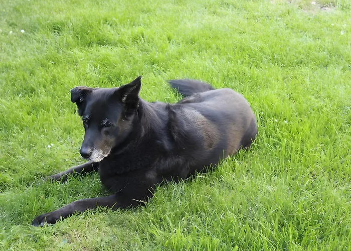 Moehneblick Daire Möhnesee